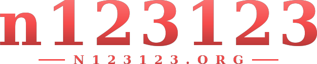 n123123 logo